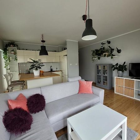 Maciejkowa Lägenhet Szczecin Exteriör bild