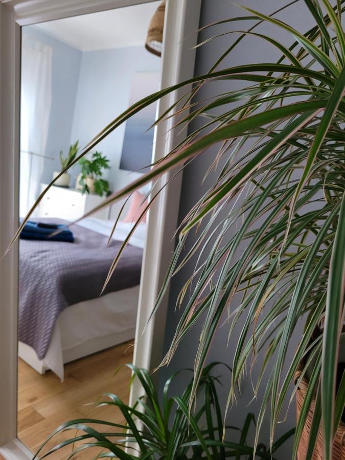 Maciejkowa Lägenhet Szczecin Exteriör bild